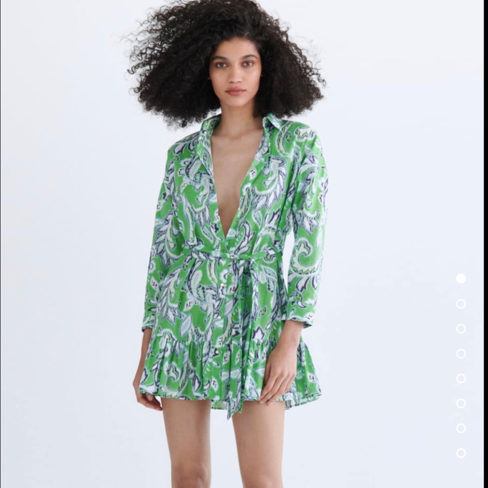Zara dress